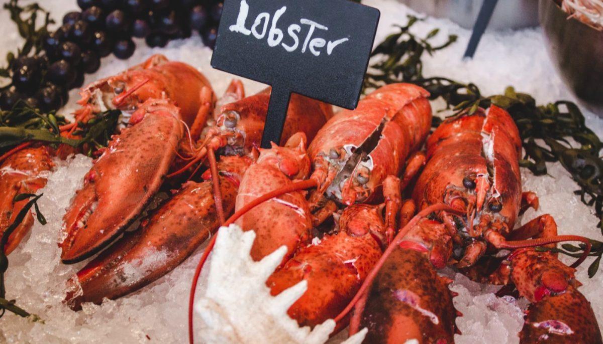 Lobster, a dish to enjoy with the family